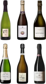 6 geniale «Non-Vintage»-Champagner zum Entdecken