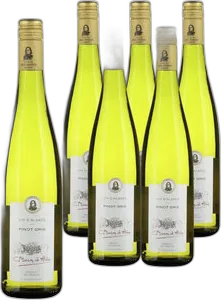 2024 Pinot Gris