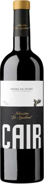 2021 Selección La Aguilera