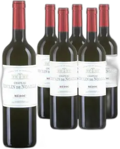 2022 Médoc AOC Château Moulin de Noaillac
