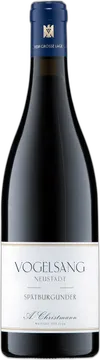 2023 Vogelsang Spätburgunder Grosses Gewächs