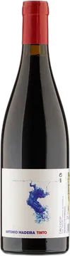 2022 Tinto