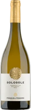 2023 Solosole