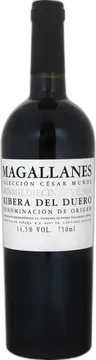 2019 Magallanes