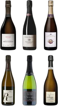 6 charaktervolle Winzer-Champagner zum Entdecken.