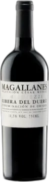 Magallanes
