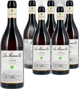 2024 Luins