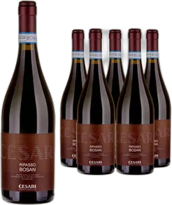 2020 Valpolicella Ripasso Superiore Bosan