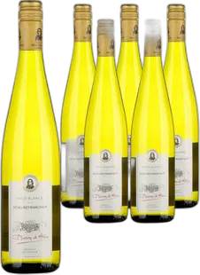 2023 Alsace AOP Gewürztraminer Baron de Hoen Beblenheim