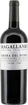 2019 Magallanes