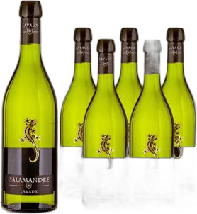 2024 Lavaux AOC La Salamandre