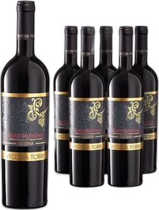 2019 Salice Salentino DOC Riserva Vecchia Torre