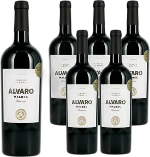 2024 Argentina Alvaro Malbec Reserva