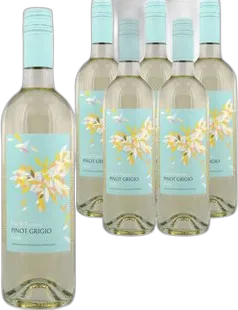 2025 Pinot Grigio DOC Fior di Papione