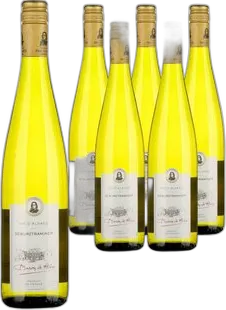 2024 Gewürztraminer Beblenheim