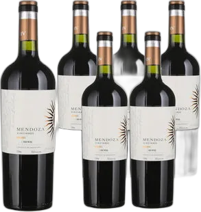 2024 Malbec Selección