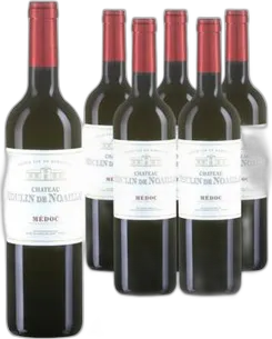 2021 Médoc AOC Château Moulin de Noaillac