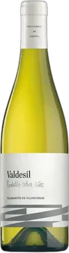 2022 Val de Sil Godello